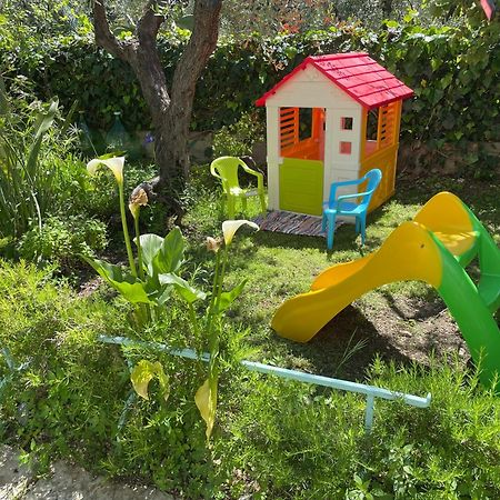B&B Case Vacanza Orchidea Marina Di Macchia Vicino A Mattinata Gargano 몬테산탄젤로 외부 사진